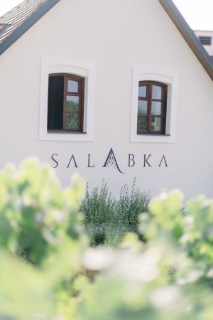 wedding at restaurant Salabka, wedding planning and coordination, organization of wedding day,wedding agency Prague, Svatby podle Adély